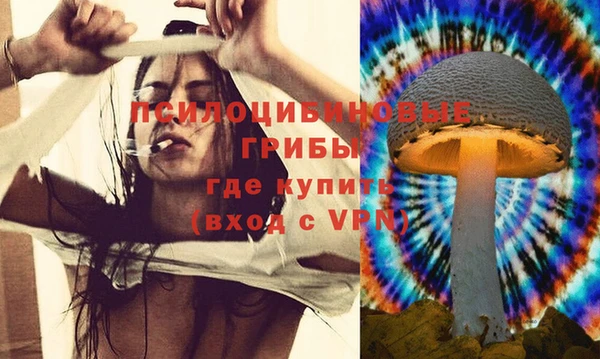 экстази Михайлов